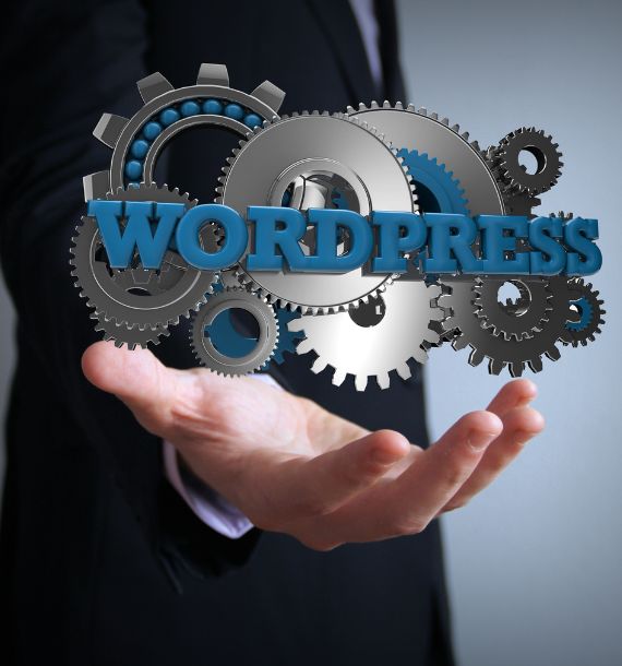 wordpress-development